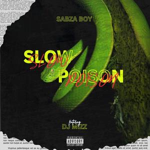 Slow Poison (feat. Dj mizz) [Explicit]