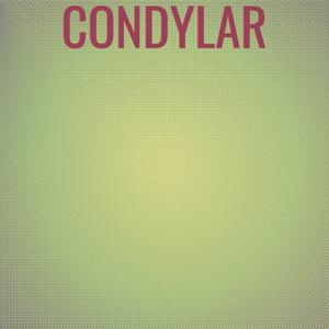 Condylar