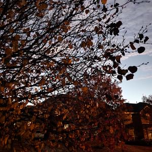 why did you call me that night? (feat. Cowboy)