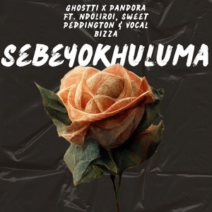 Sebeyokhuluma