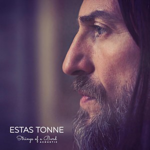 Strings of a Bard (Acoustic|Live)