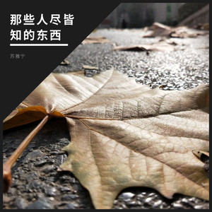 那些人尽皆知的东西