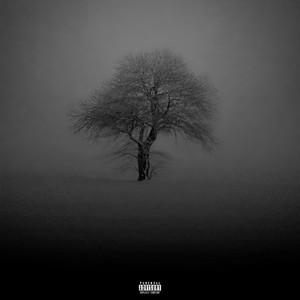 coffe bean (Explicit)