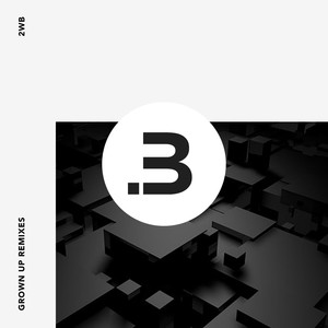 Grown Up (Zariya Remix)