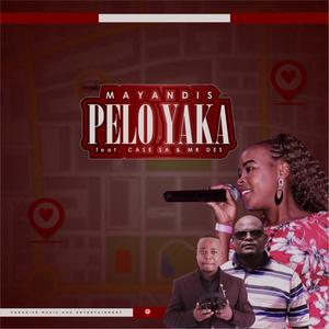 Pelo Yaka (feat. Case SA & Mr Des)