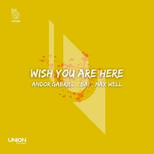 Wish You Are Here (Extended Mix)