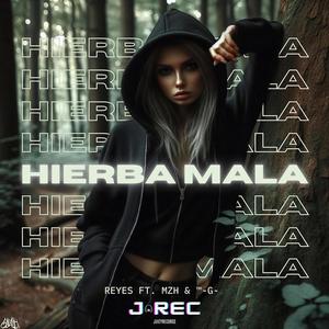 Hierba mala (feat. REYES XM, ™-G- & MZH) (Explicit)