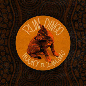 Run Dingo (Explicit)