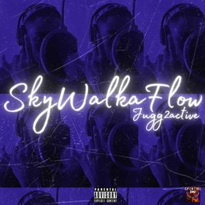 Skywalka Flow (Explicit)