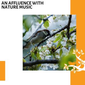 Brain Relaxation With Rain Sound