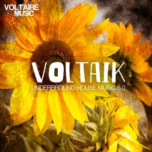 Voltaik 6.0