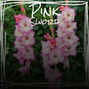 Pink Sword