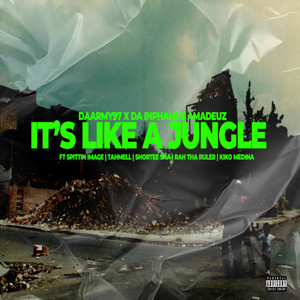 It's Like a Jungle (Radio Edit)