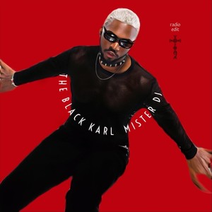 Mister DJ (Radio Edit)