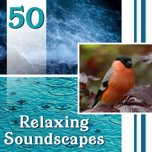 50 Relaxing Soundscapes: Natural Ambiences for Yoga, Deep Meditation & Healing, Music for Stress Relief