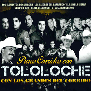 Puros Corridos Con Tololoche Con los Grandes del Corrido