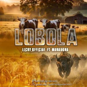 Lobola (feat. Maradona SA, Reef Musa, Soul T Wrld & Salani The producer)