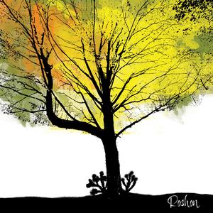 Cholla the Palate Cleanser