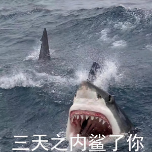 哈 哈 哈！！！