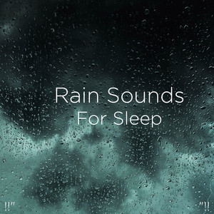 !!" Rain Sounds For Sleep "!!