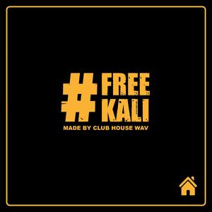 FREE KALI