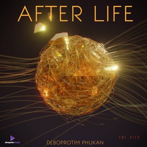 AFTER LIFE