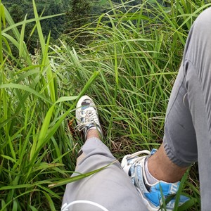 爱江山更爱美人