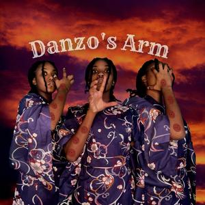 Danzo's Arm (Explicit)