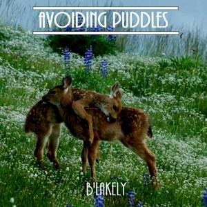 Avoiding Puddles EP