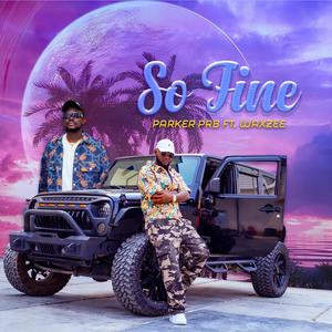 Parker PRB - So Fine