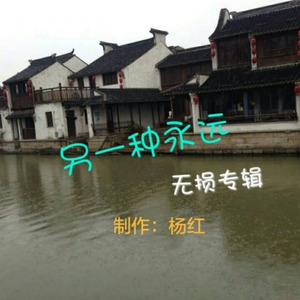 另一种永远 (伴奏)