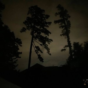 Drippy And Trippy Effect (feat. Ziscool) (Explicit)