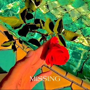 Missing