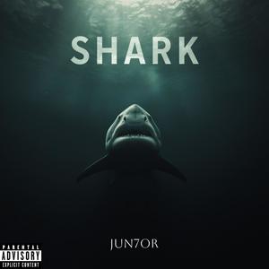 SHARK (Explicit)
