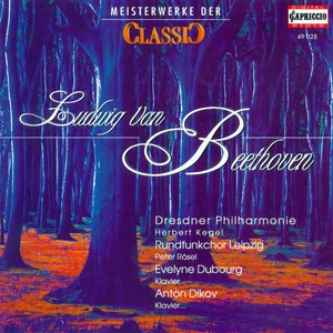 Fantasia in C Minor, Op. 80, 