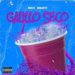 GALILLO SECO (feat. NeNe23 & GoBlazy47) [Explicit]