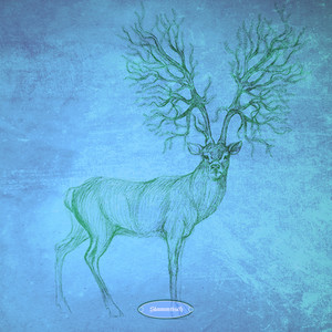 Signals from Voyager (Dan Rubell Remix)