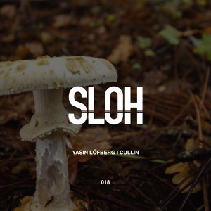 Cuts11 (Original Mix)