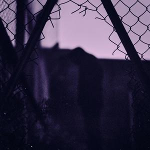 Mr Lovejet (Lonely People)