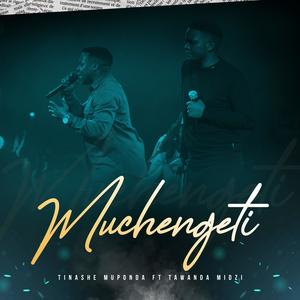 Muchengeti