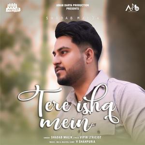 Tere Ishq Mein (feat. V Shahpuria)