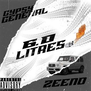 6.0 Litres (Explicit)