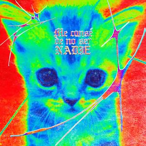 Me canse de no ser nadie