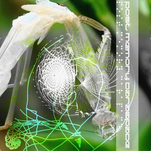 Post Memory Carapace