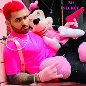 No Secret