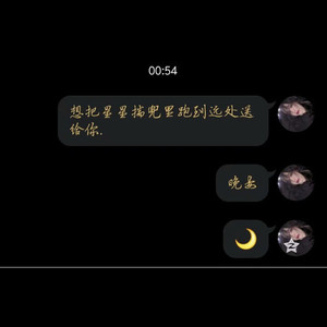 我的歌声里remix