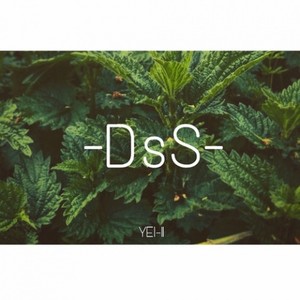 D.sS