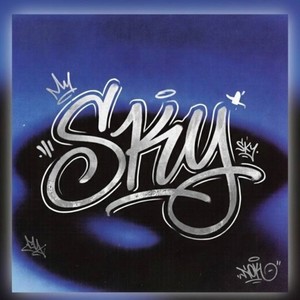 SKY封面