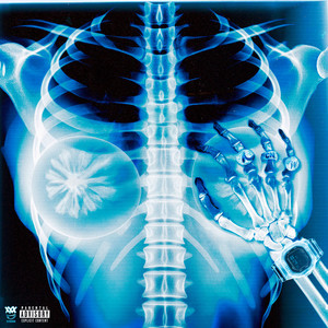 PEITO FALSO (Explicit)