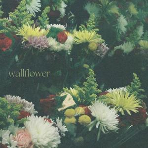 wallflower